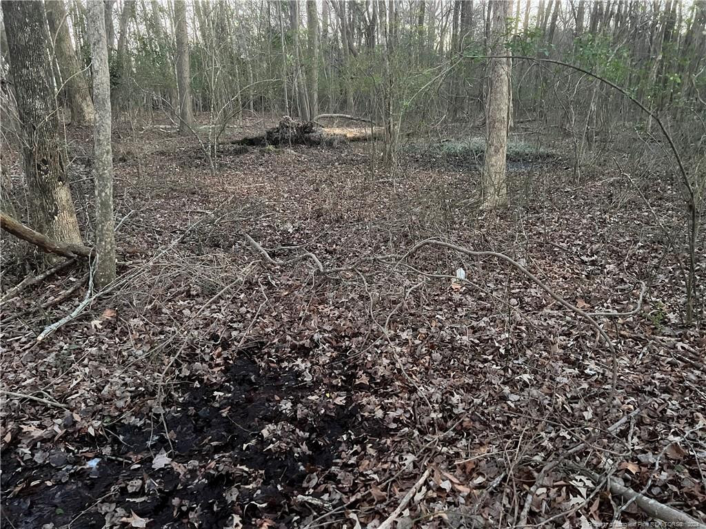 1871 River Road Property Photo 9