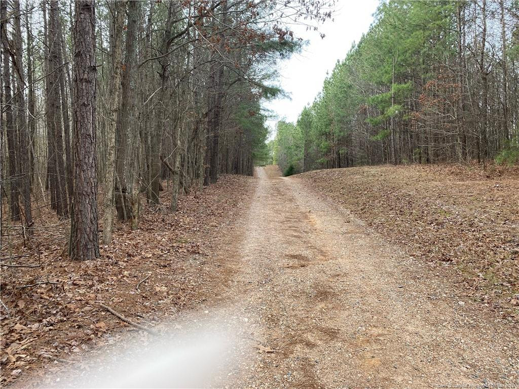 Lick Creek Road Property Photo 1