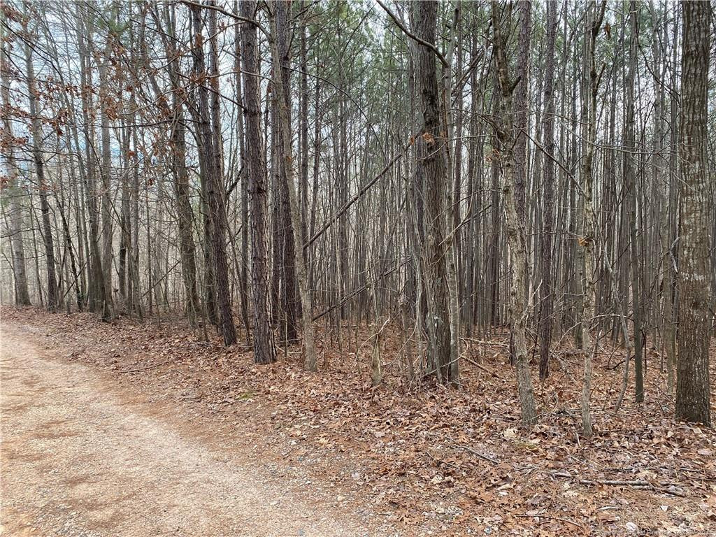 Lick Creek Road Property Photo 3