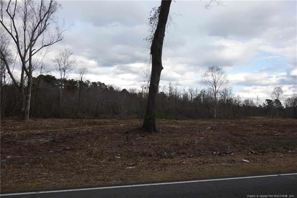 Lot 9 Odum Road Property Photo 1
