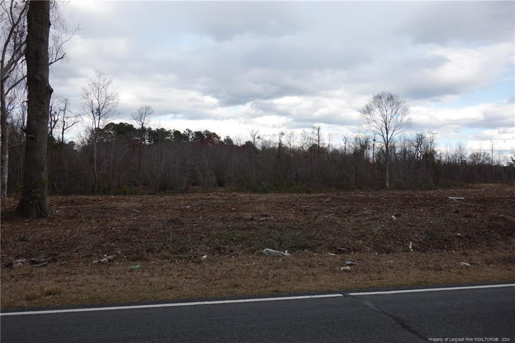 Lot 11 Odum Road Property Photo 1