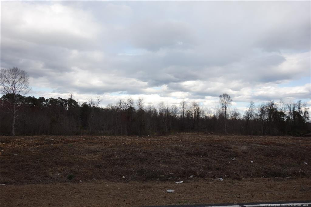 Lot 11 Odum Road Property Photo 2