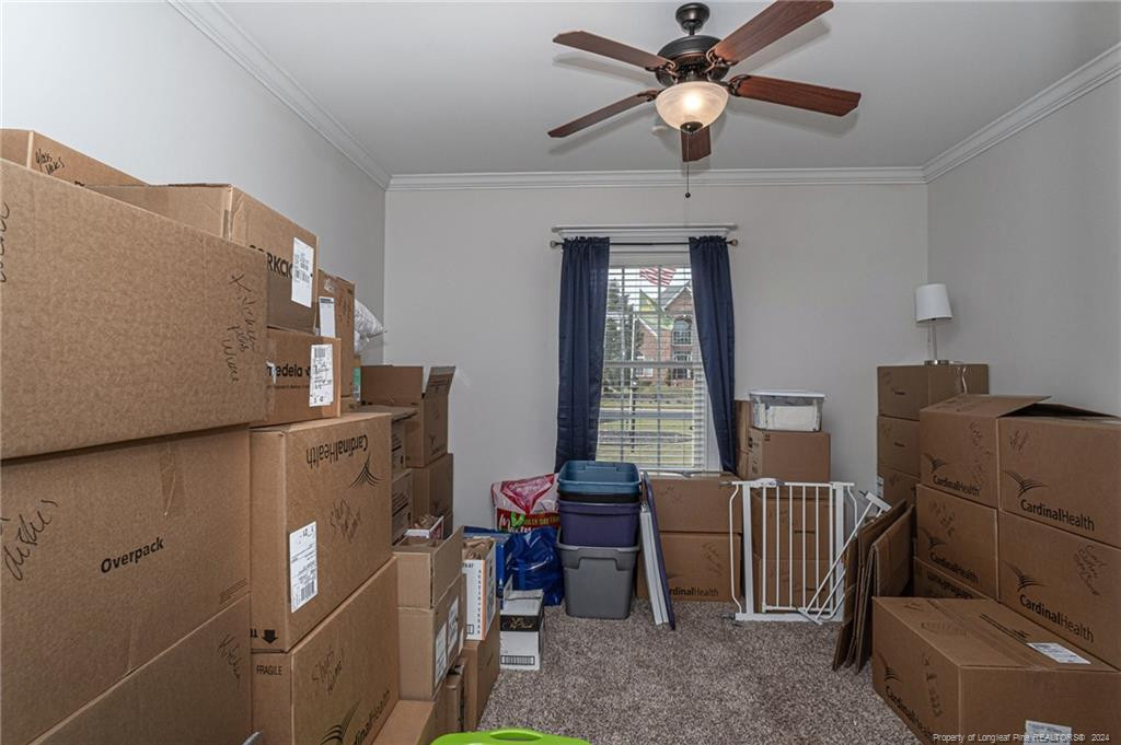 3101 Muirfield Avenue Property Photo 30