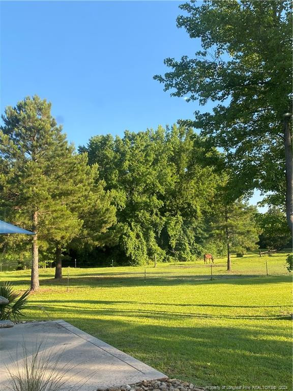 330 Wellington Road Property Photo 8