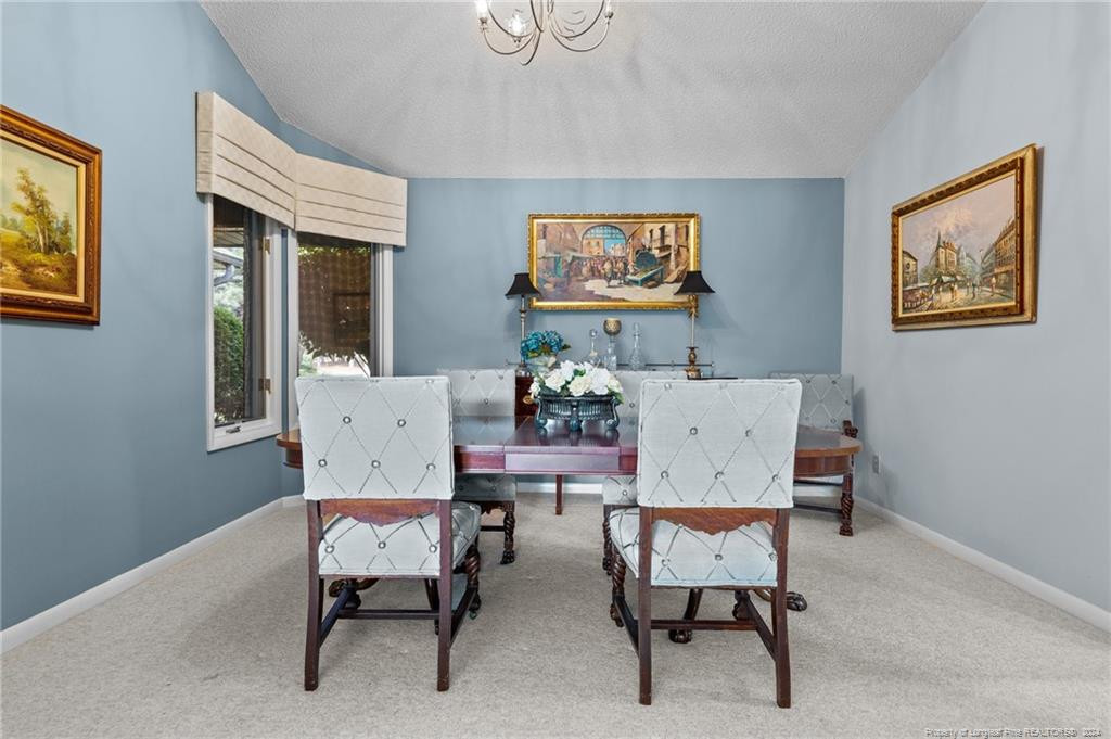 116 Fox Run Court Property Photo 19
