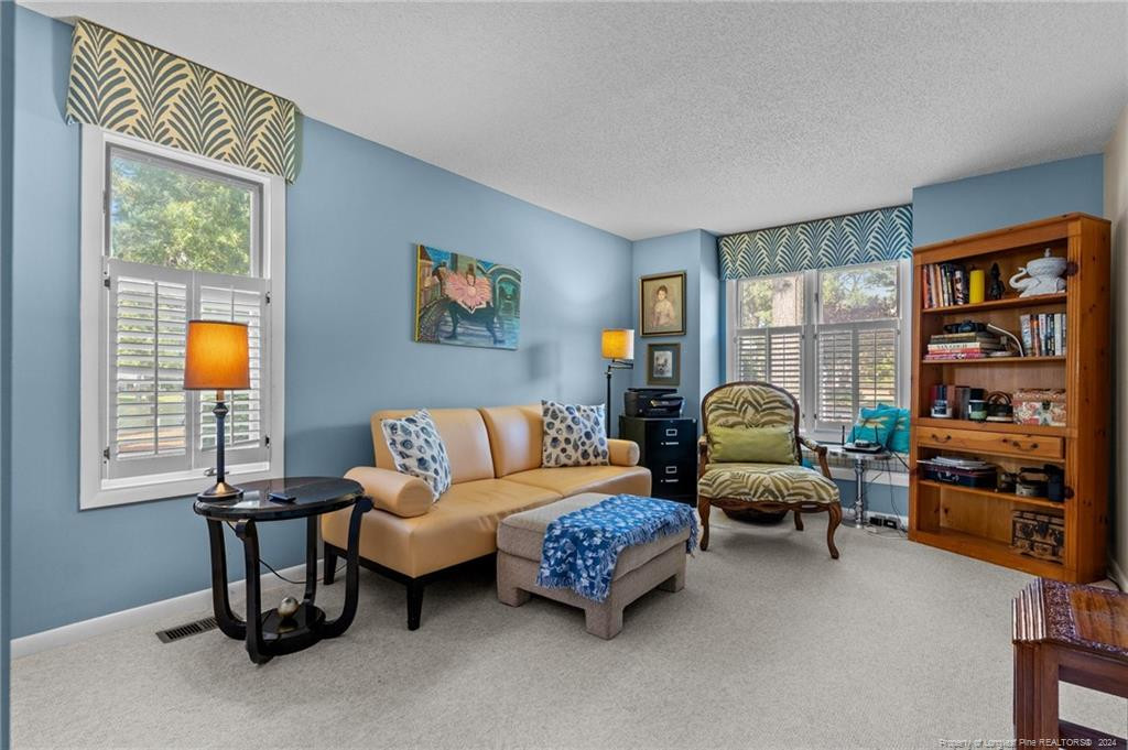 116 Fox Run Court Property Photo 31