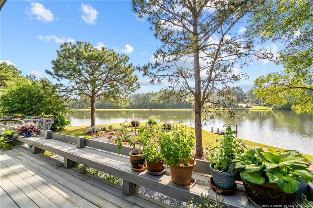 116 Fox Run Court Property Photo 45