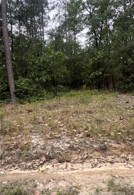 Lot 23 Cedar Lane Property Photo