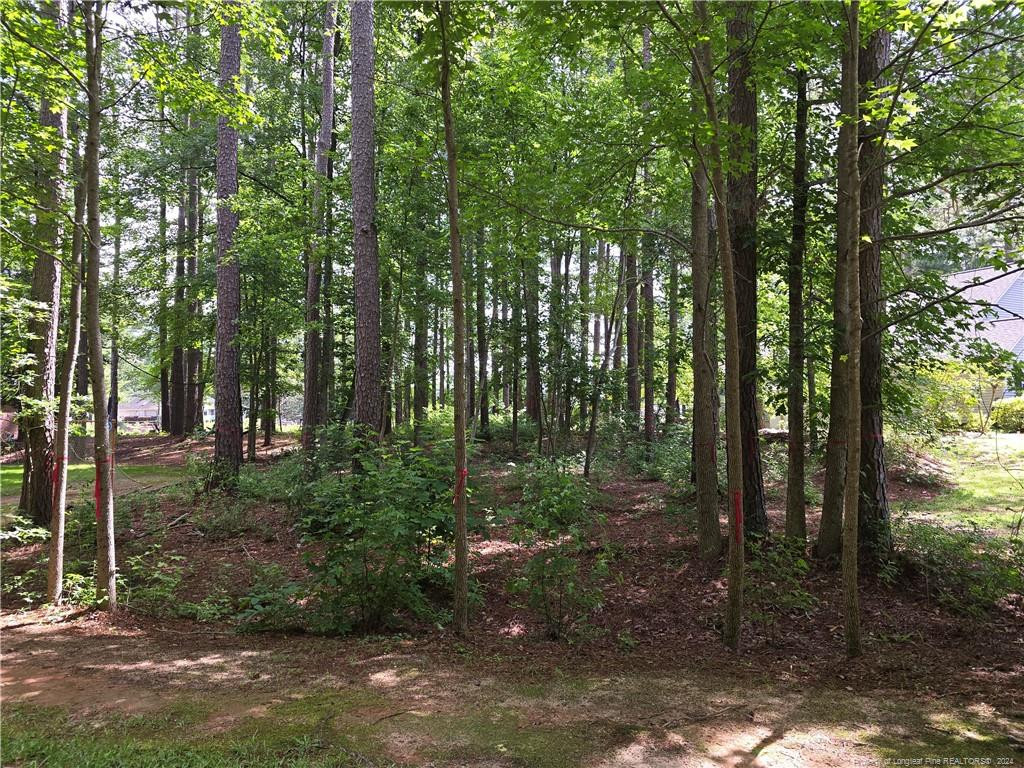 797 Daphne Lane Property Photo 1