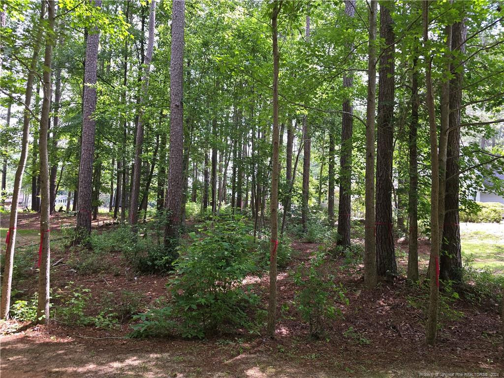 797 Daphne Lane Property Photo 2