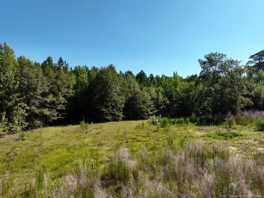 1076 Cameron Hill Road Property Photo 3