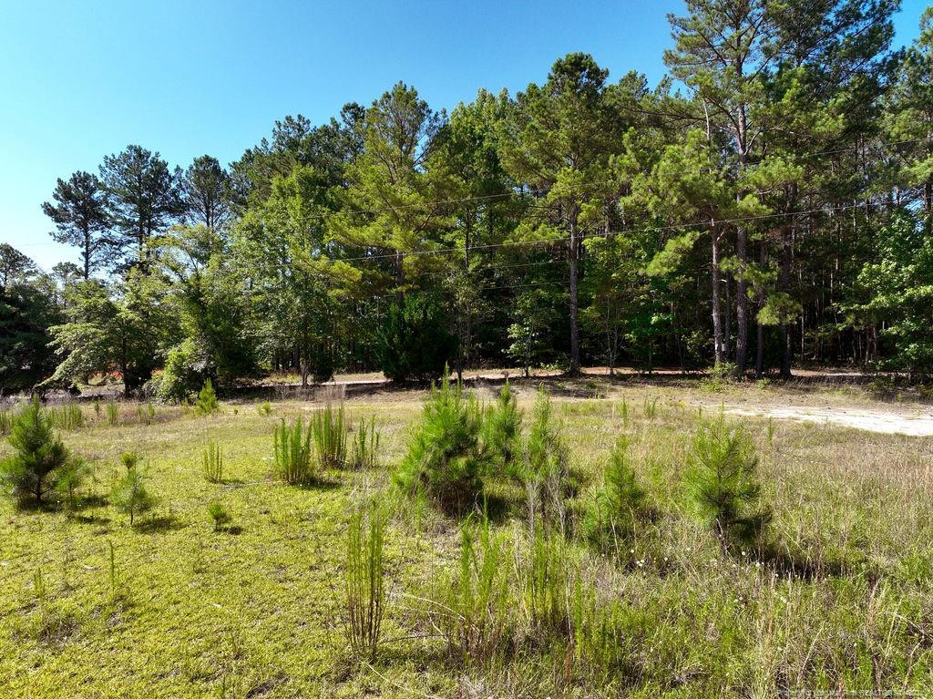 1076 Cameron Hill Road Property Photo 4
