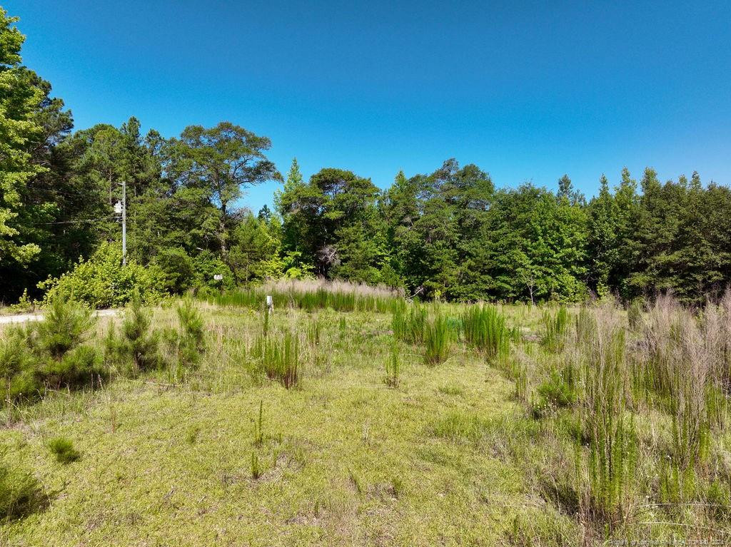 1076 Cameron Hill Road Property Photo 5