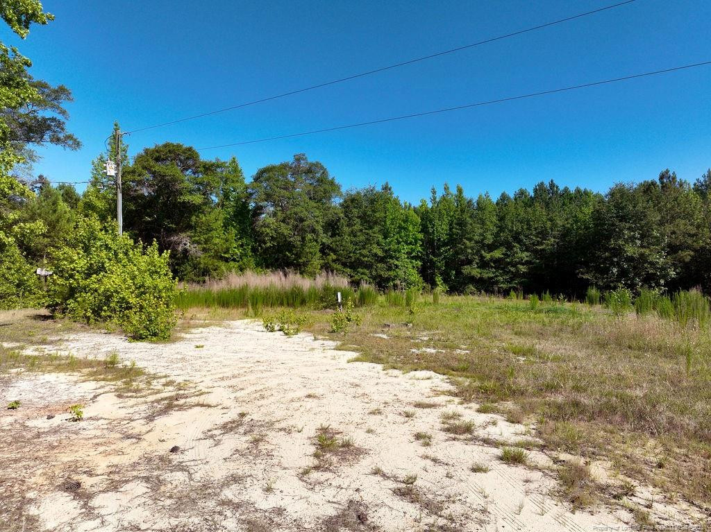 1076 Cameron Hill Road Property Photo 9
