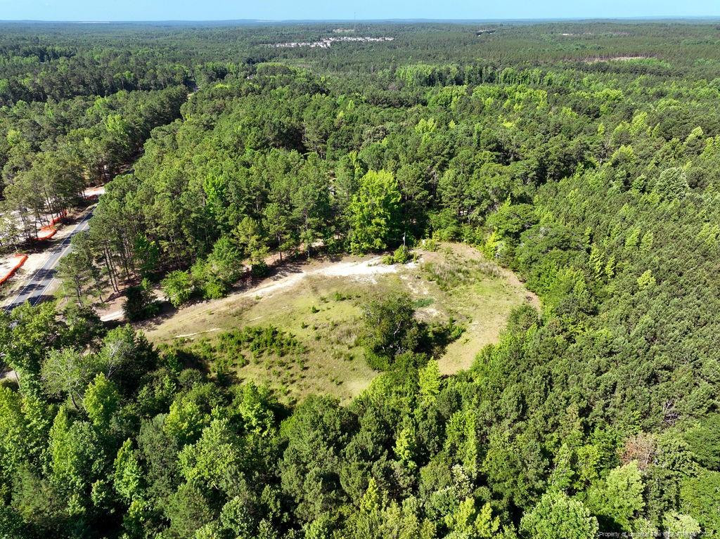 1076 Cameron Hill Road Property Photo 11