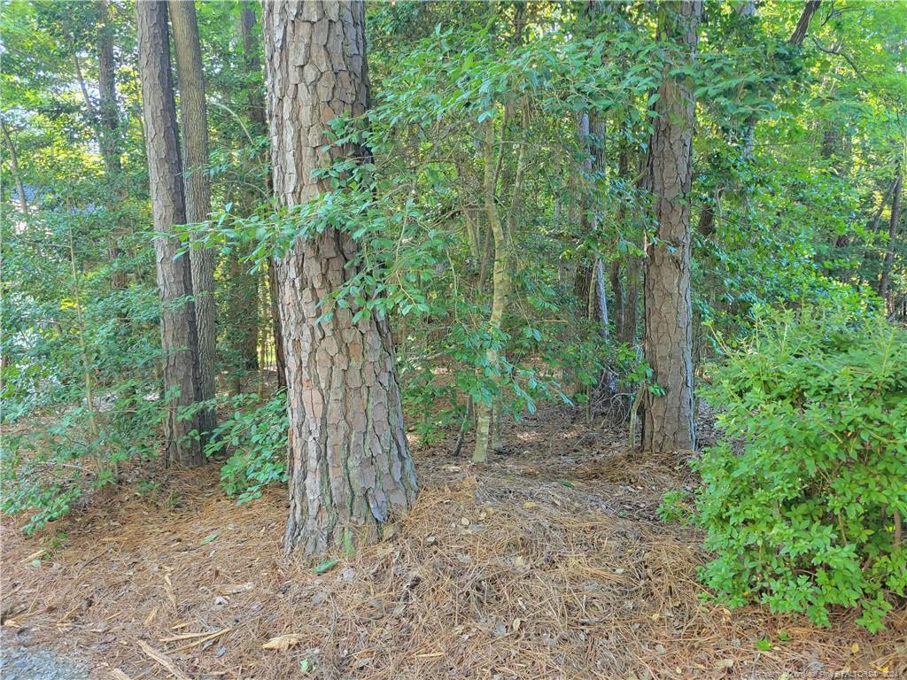 3124 Sand Wedge Property Photo 2