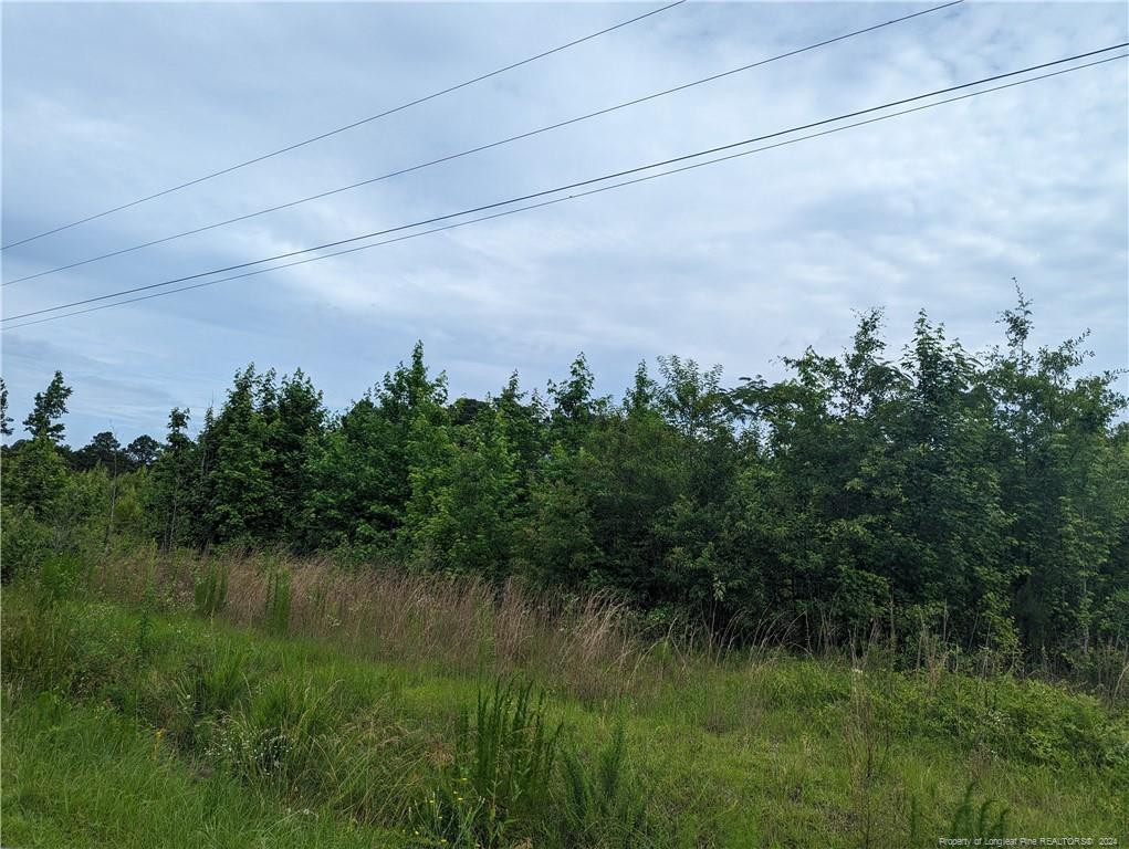 Dixie Drive Property Photo