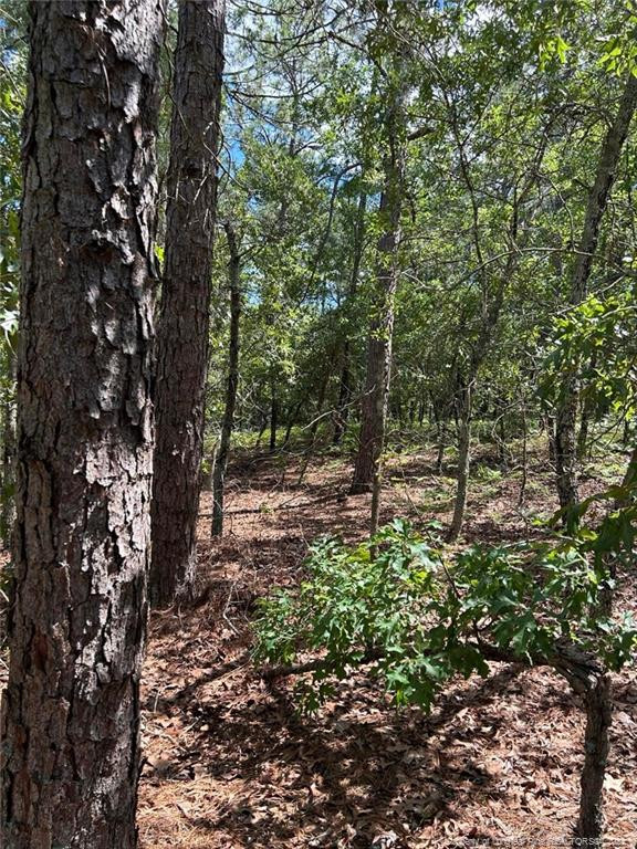 TBD Rodgers Trail Property Photo 1