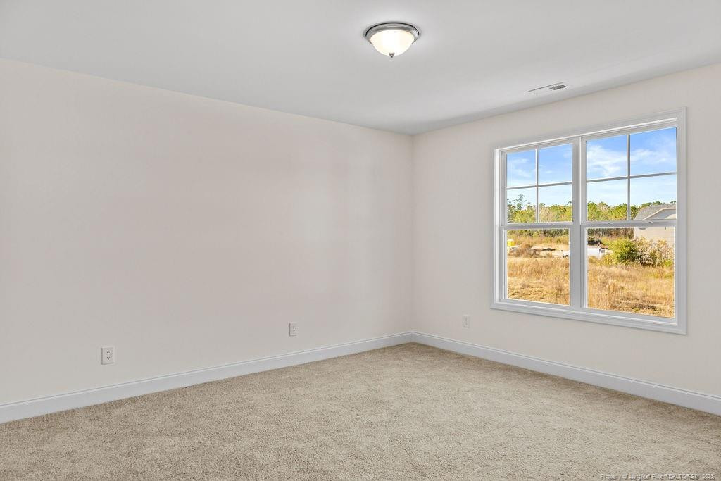 206 Godwin Gate (lot 43) Street Property Photo 18