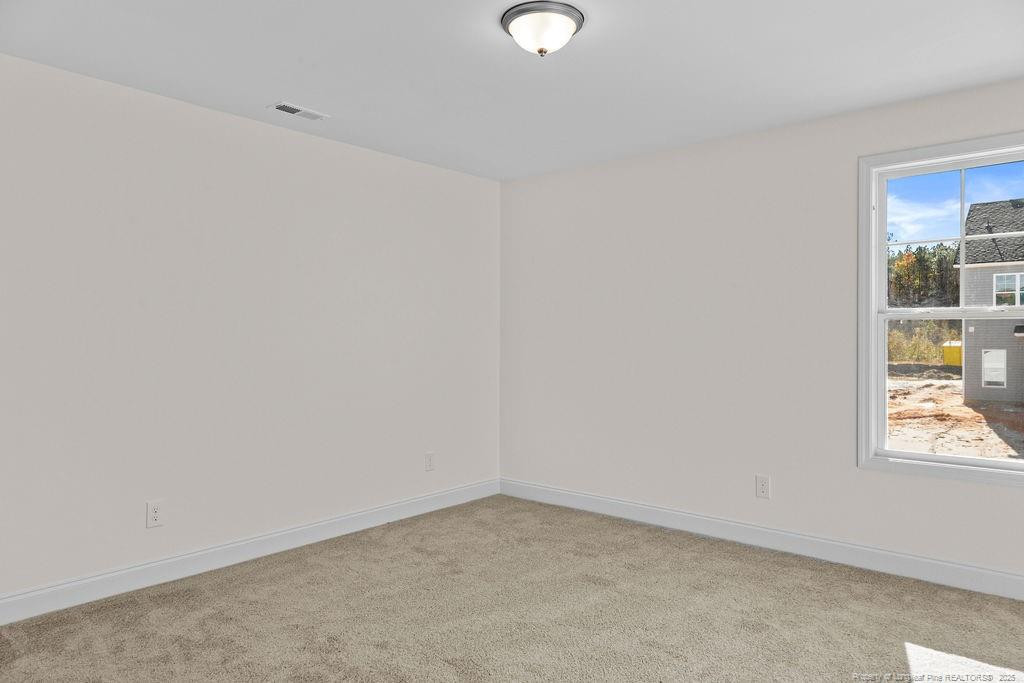206 Godwin Gate (lot 43) Street Property Photo 20