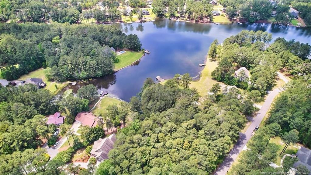 16 Lakeshore Property Photo 3