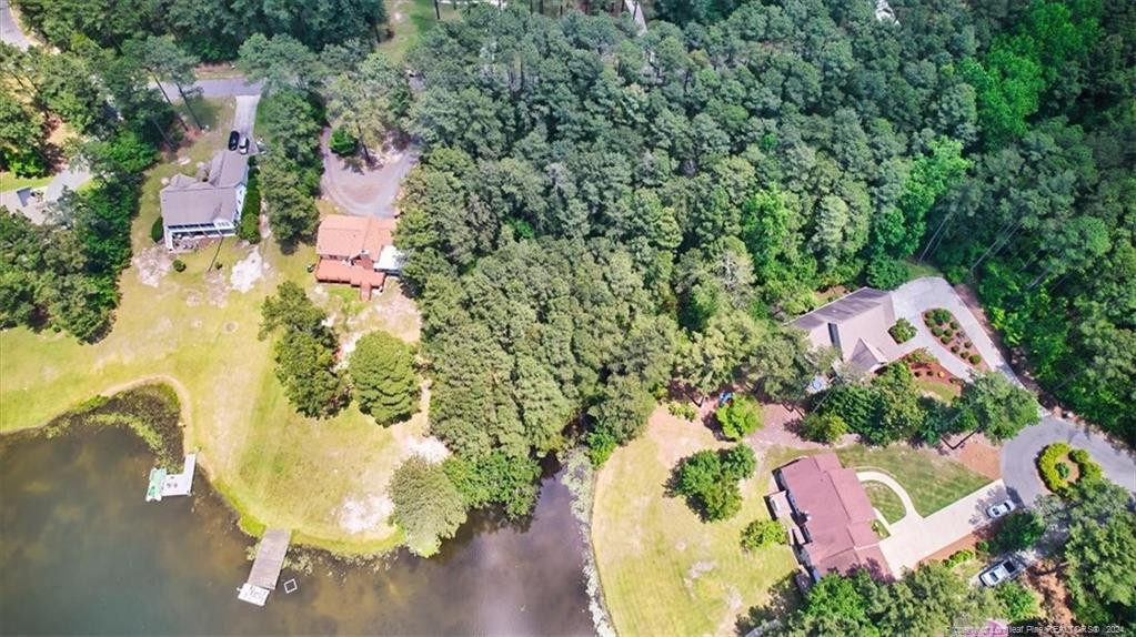 16 Lakeshore Property Photo 4