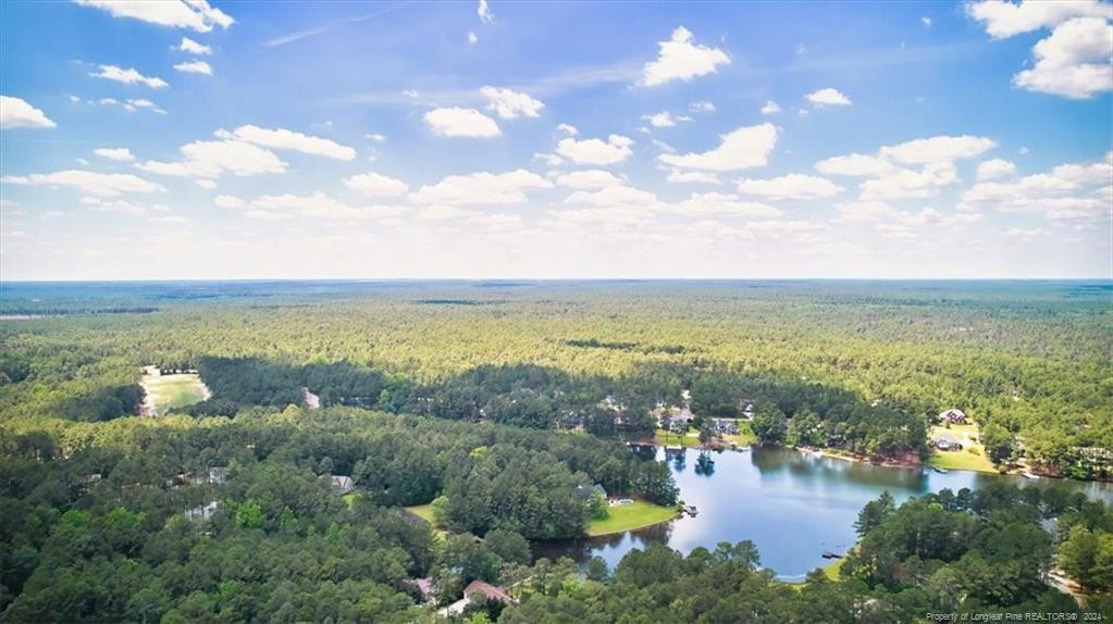 16 Lakeshore Property Photo 8
