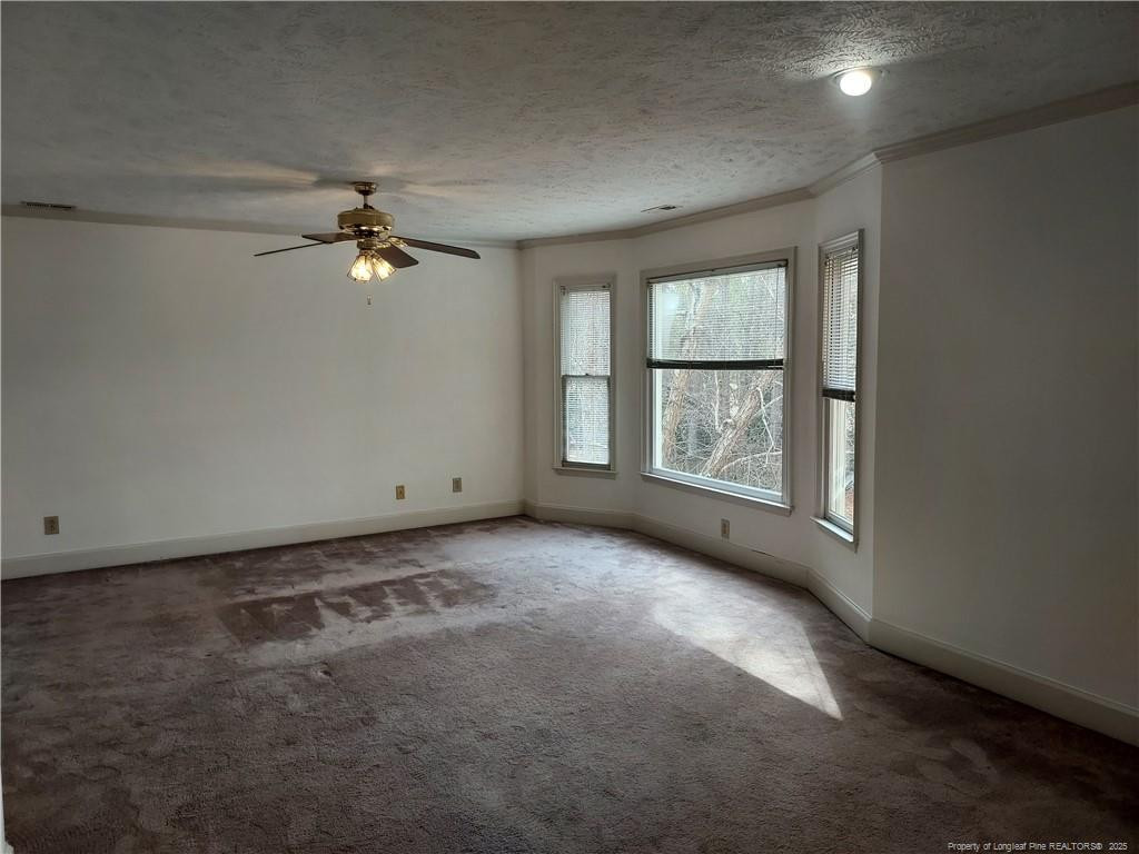 428 Harlow Drive Property Photo 18