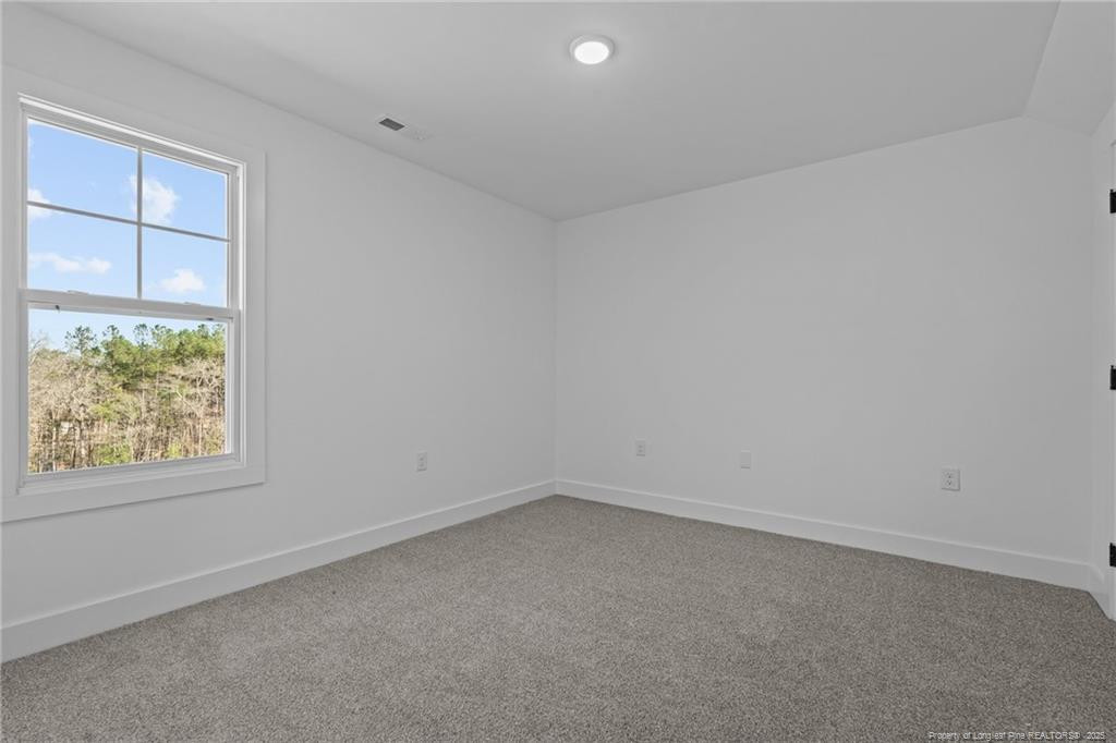 236 Grove Walk (lot 33) Road Property Photo 37