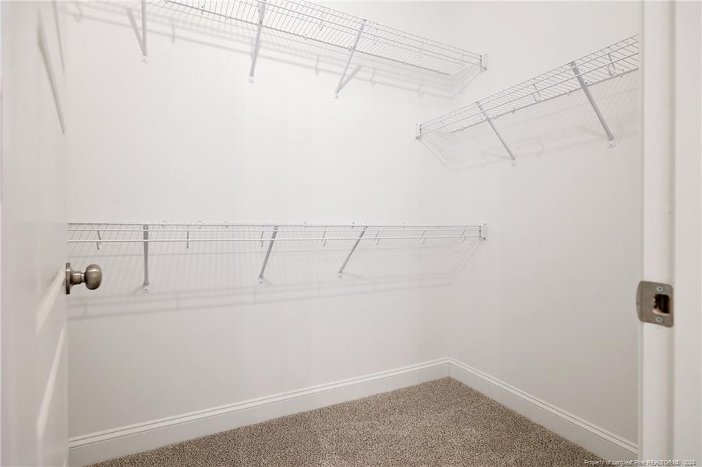 681 Cresswell Moor (lot 9) Way Property Photo 22