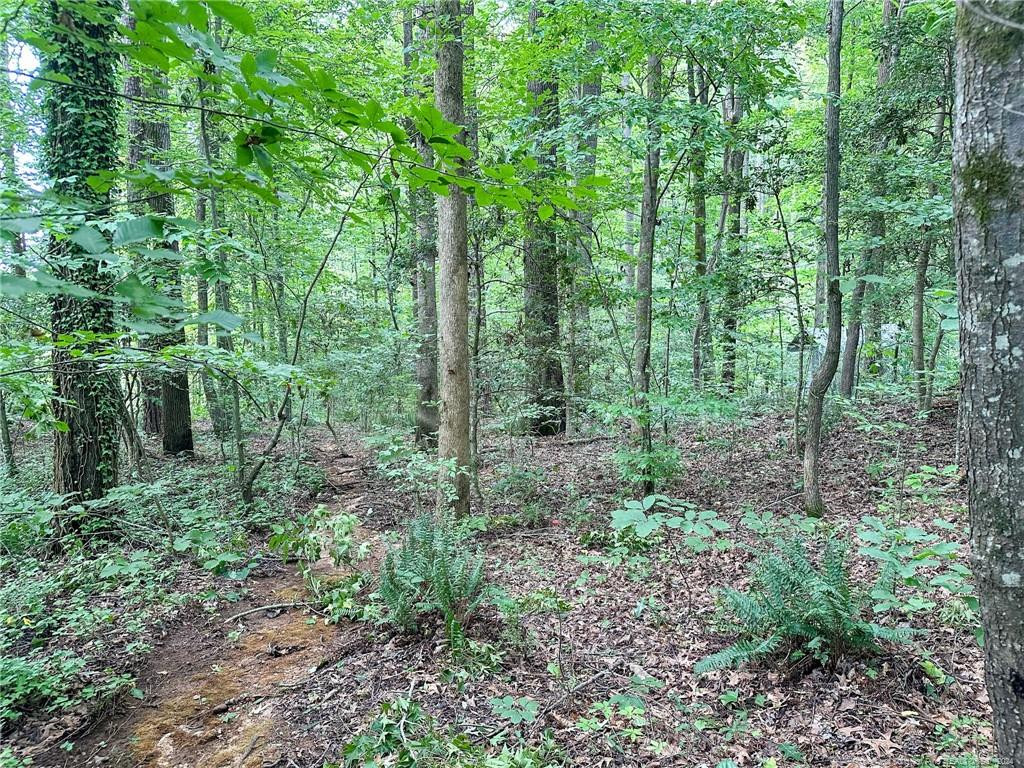 South Pointe Property Photo 17
