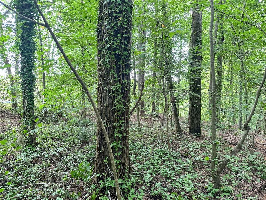 South Pointe Property Photo 18