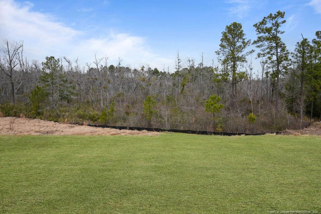 258 Brickhill (lot 380) Drive Property Photo 6