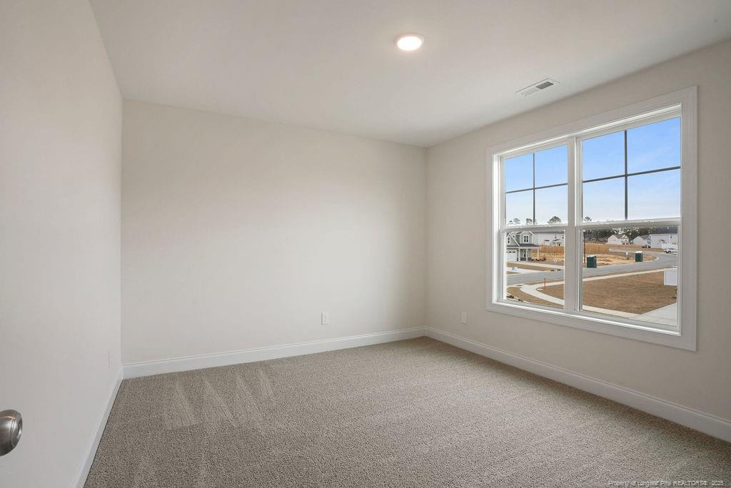258 Brickhill (lot 380) Drive Property Photo 34