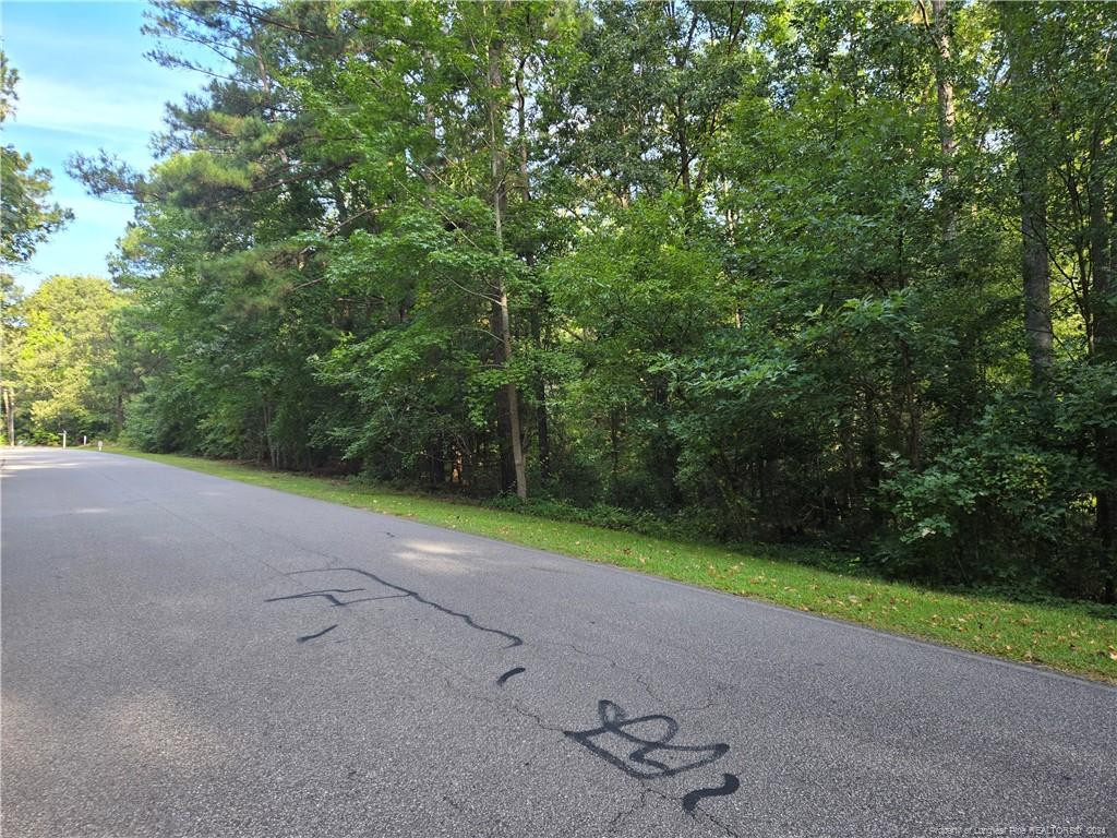 535 Loblolly Drive Property Photo 1