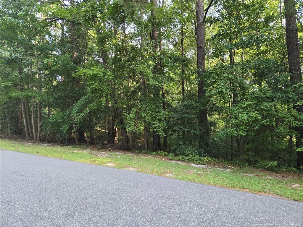 535 Loblolly Drive Property Photo 2