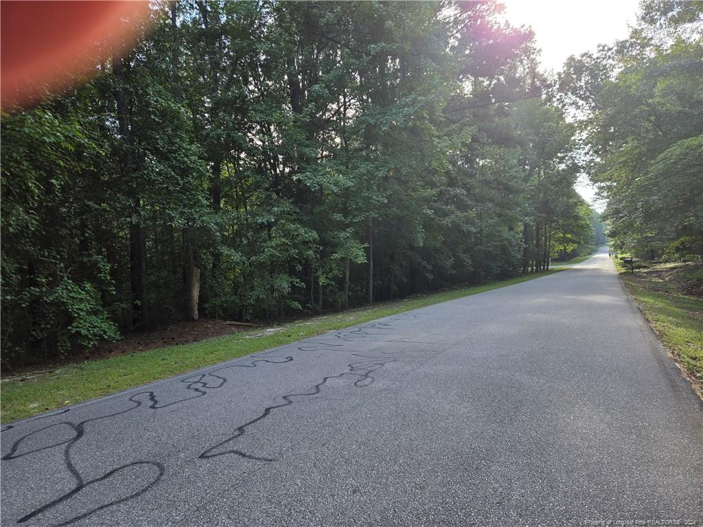 535 Loblolly Drive Property Photo 3