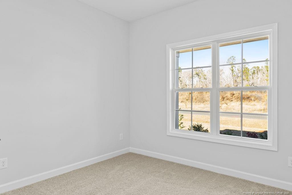 228 Godwin Gate (lot 59) Street Property Photo 13