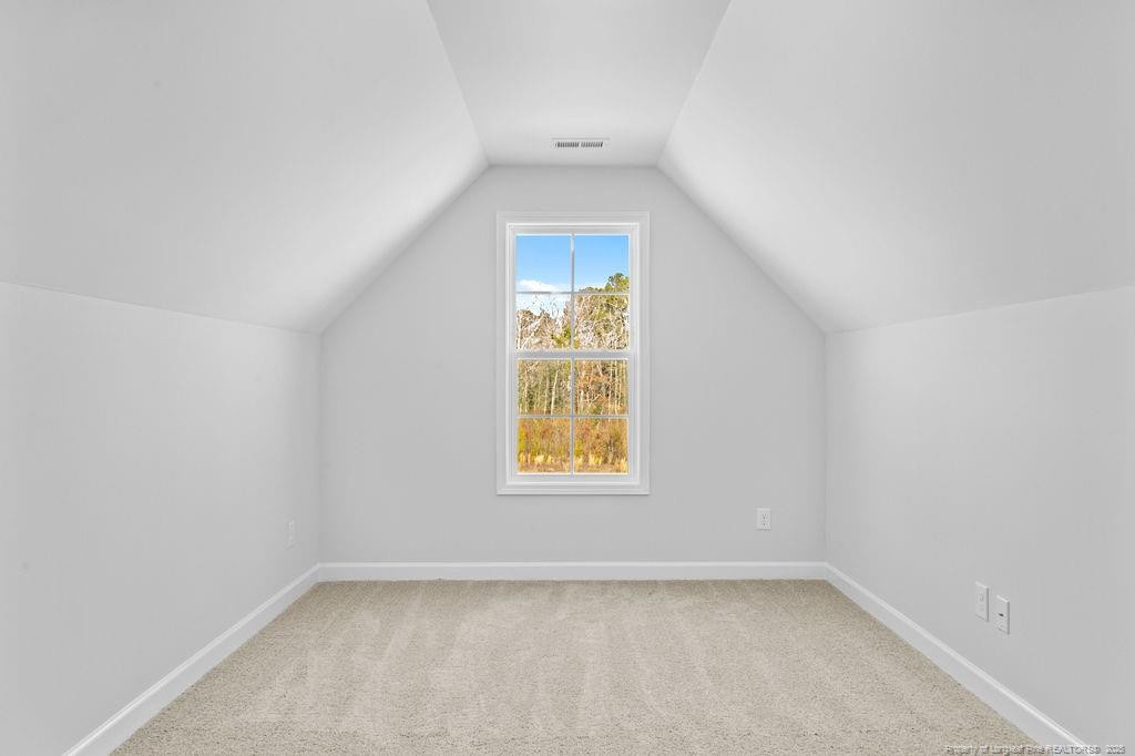 228 Godwin Gate (lot 59) Street Property Photo 18