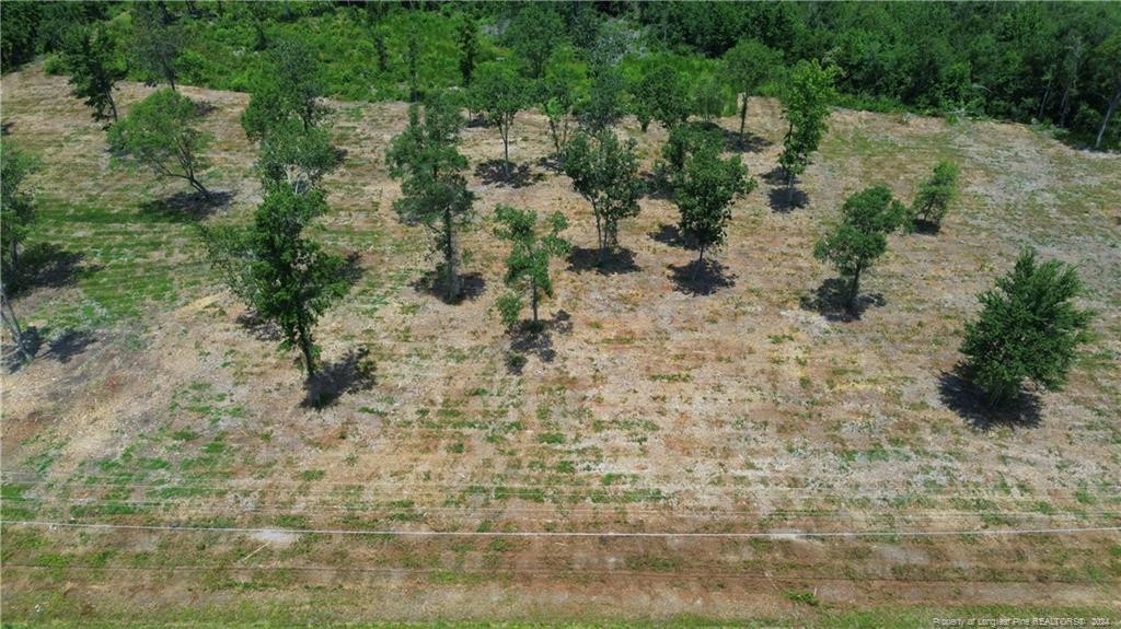 Deep Branch Road Property Photo 1
