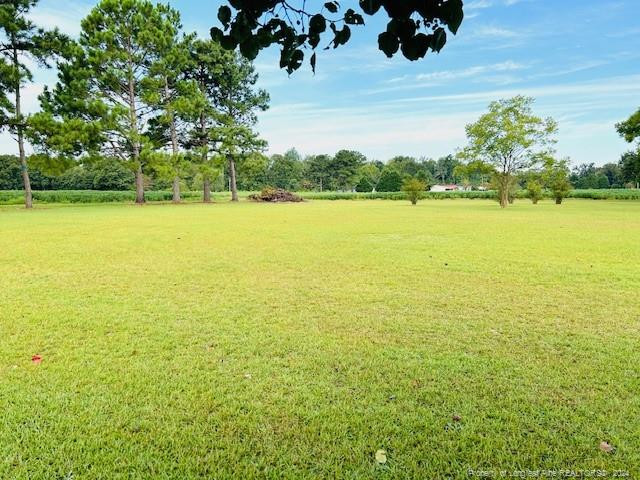 9543 Deep Branch Road Property Photo 13