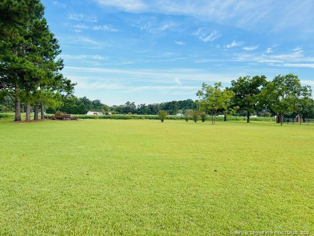 9543 Deep Branch Road Property Photo 14