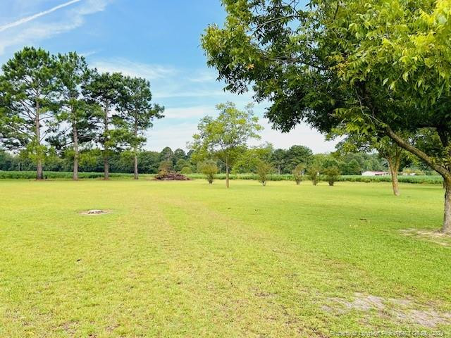 9543 Deep Branch Road Property Photo 16