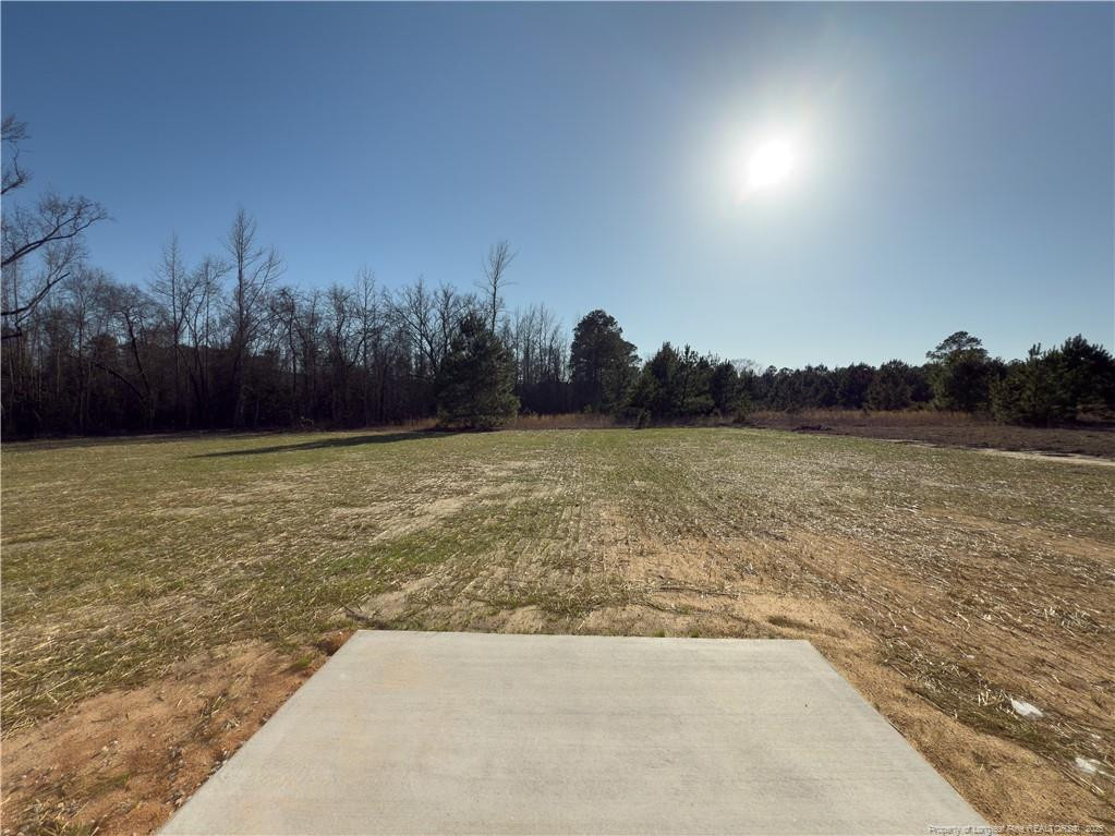 4992 Blue Springs (lot 11) Road Property Photo 14