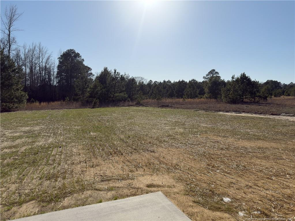 4992 Blue Springs (lot 11) Road Property Photo 15