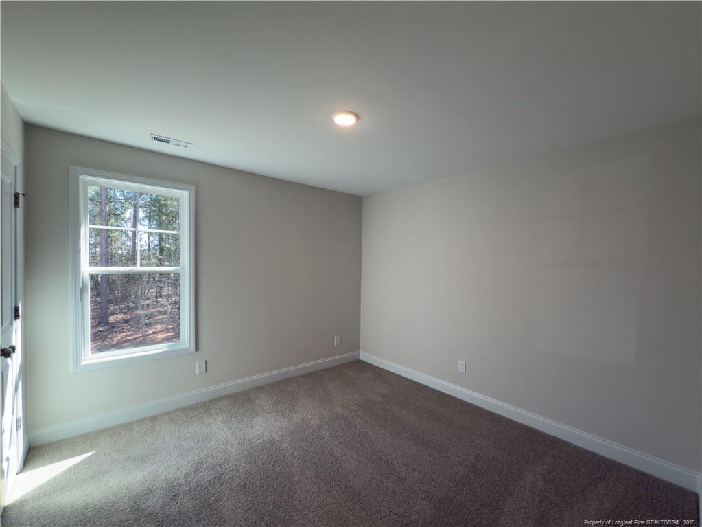 166 Dawn Run (lot 64) Property Photo 24