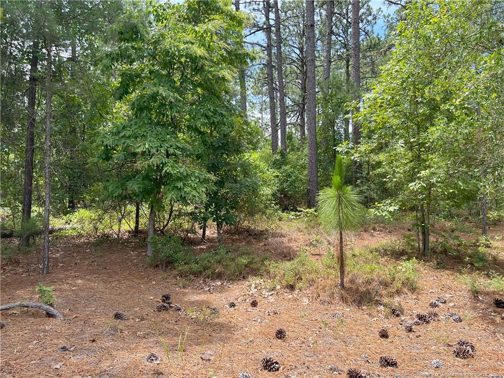 Tbd Sandy Branch Lane Property Photo 1