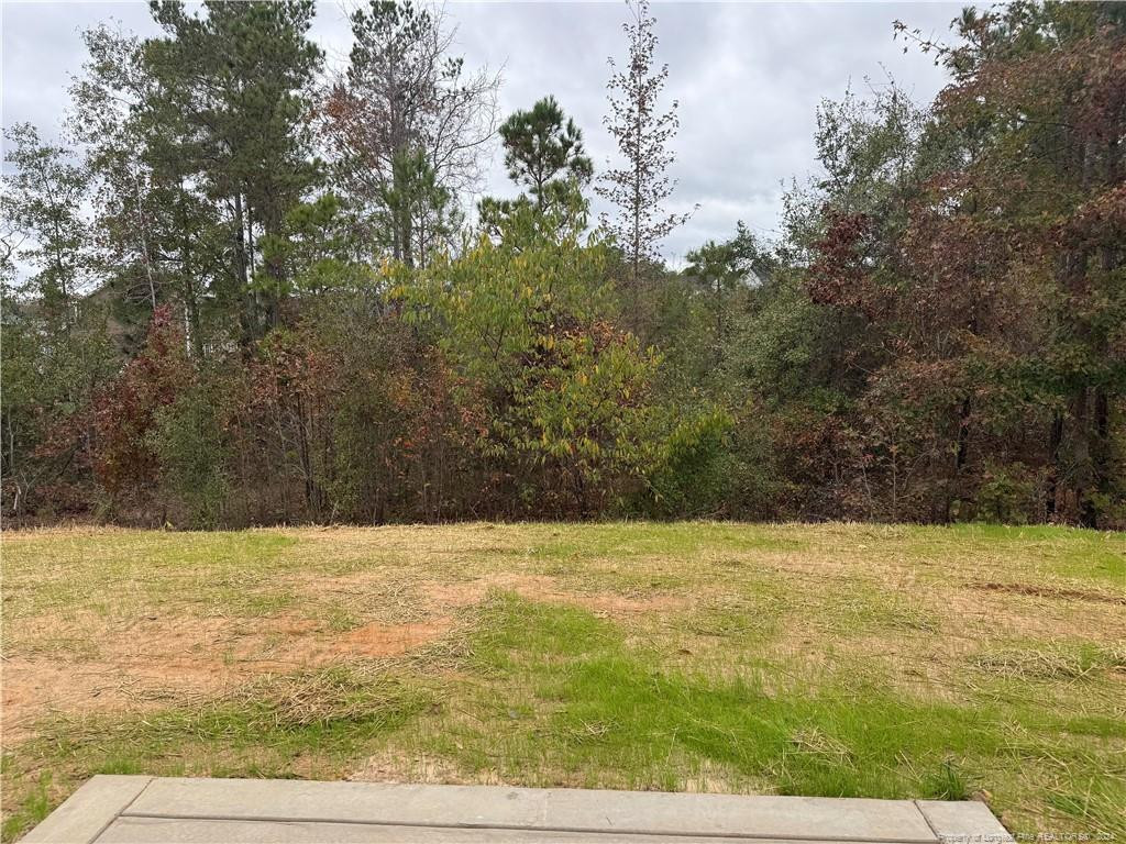 212 Cobra (lot 38) Lane Property Photo 3
