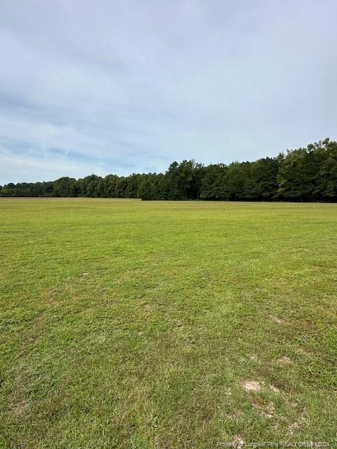 701 Eastway Avenue Property Photo 6