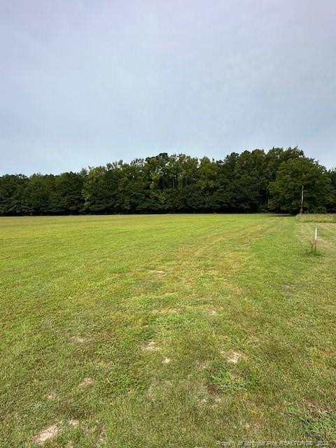 701 Eastway Avenue Property Photo 7